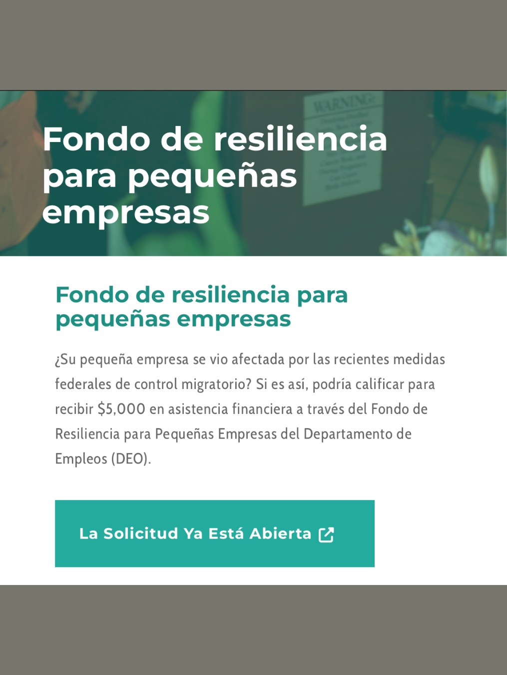 Fondo De Resiliencia Para Pequeñas Empresas