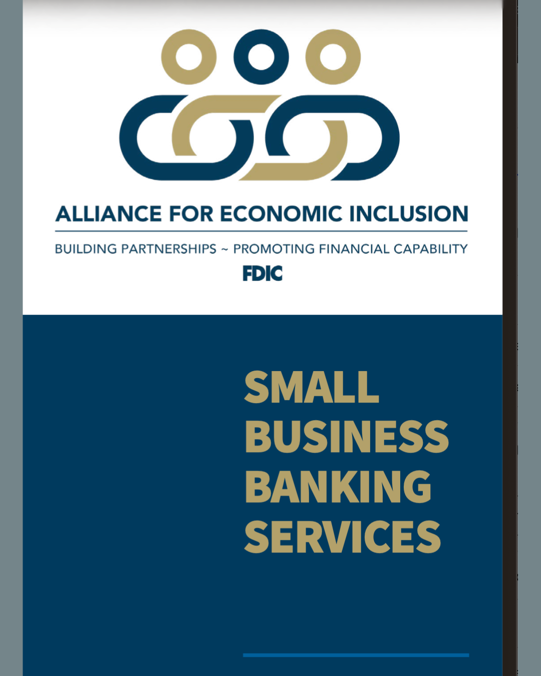 SMALL BUSINESS BANKING SERVICES